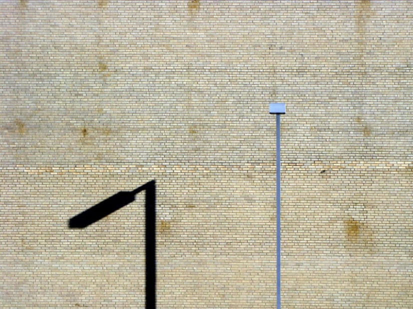 OK, Computer: the first photo contest, the jury in which there was artificial intelligence