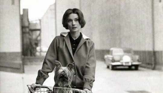 Old photos you rarely see Old photos you rarely see