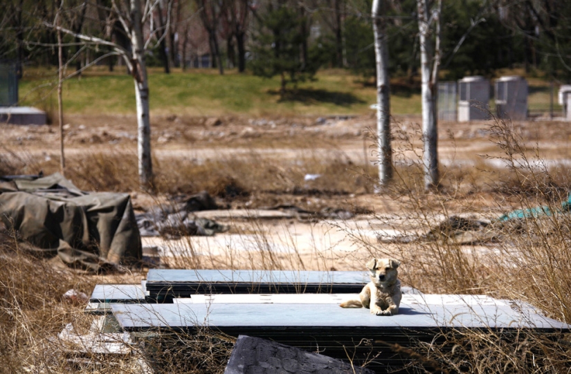 Older, worse, decrepit: Abandoned Olympic facilities today
