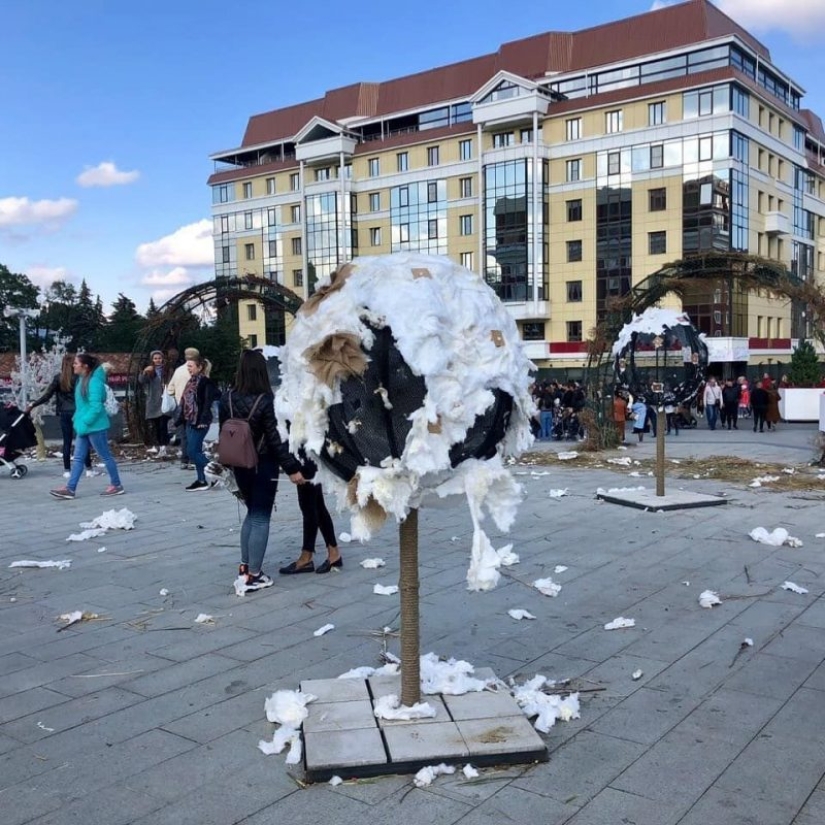 On the Day of the city, residents of Stavropol ate an elephant and gnawed the crown of a tree On the Day of the city, residents of Stavropol ate an elephant and gnawed the crown of a tree