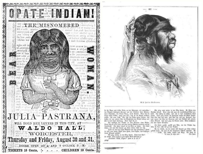 On the face of a terrible, kind inside: the life and death of a bearded Julia, a female monkey from Mexico On the face of a terrible, kind inside: the life and death of a bearded Julia, a female monkey from Mexico