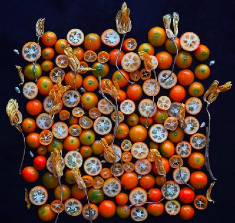 On the face of terrible, delicious inside: American woman praises "ugly" food on Instagram