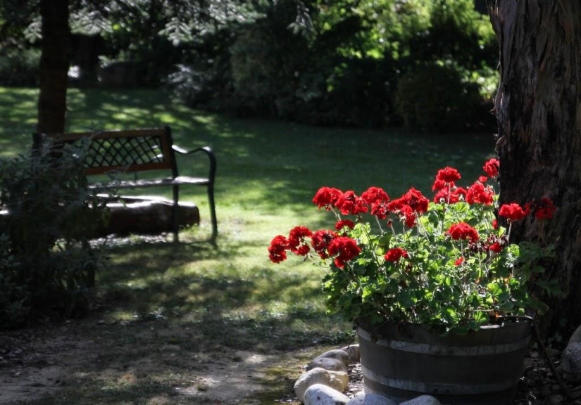 One day in a French village