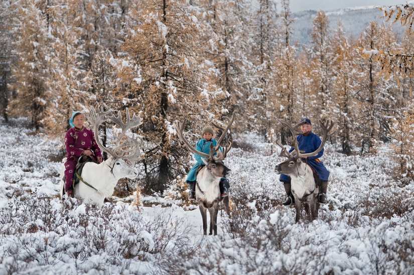 One day in the life of a Mongolian family of reindeer herders