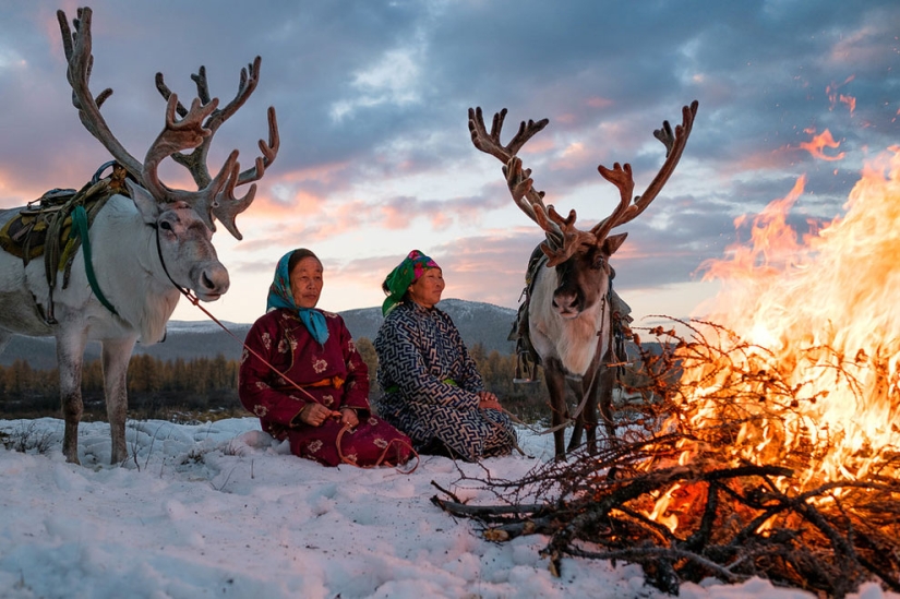 One day in the life of a Mongolian family of reindeer herders