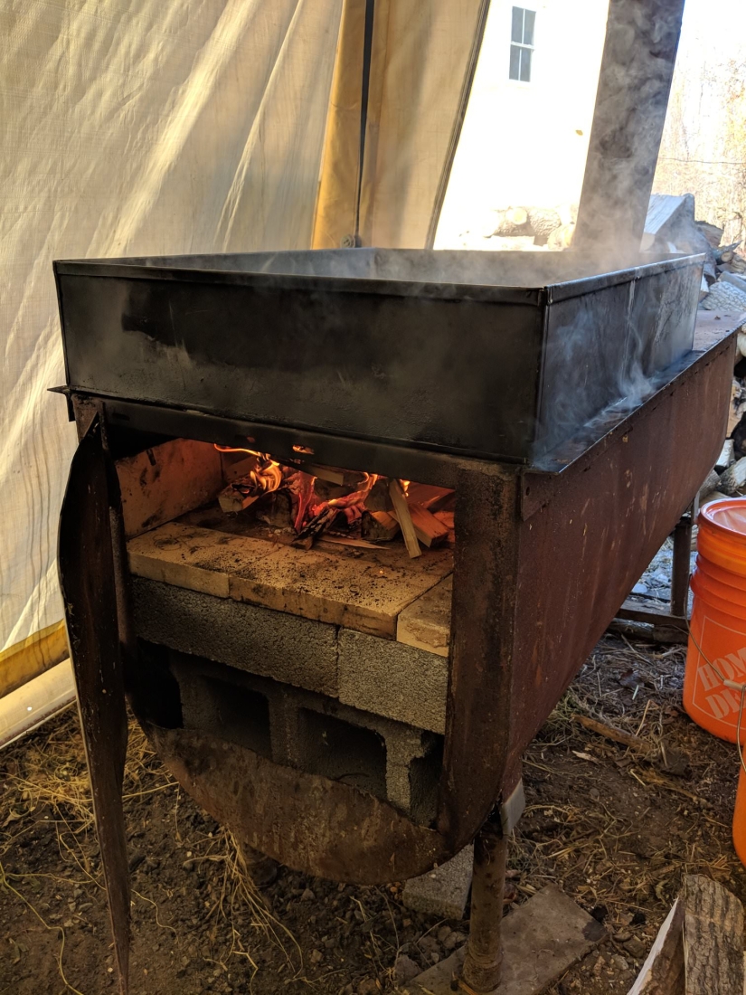 Ordeñar un árbol, o Cómo recoger jugo de arce para un delicioso jarabe