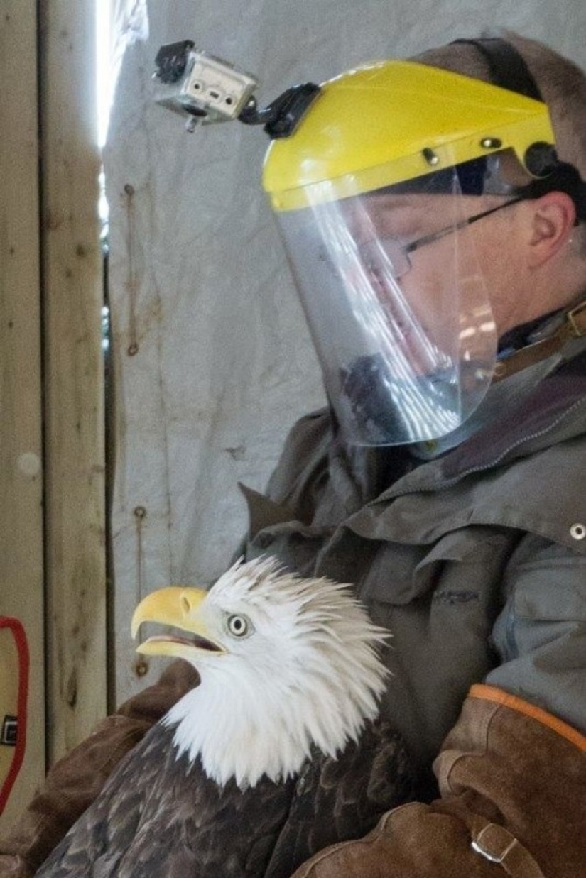 Orlan esperó fielmente a su novia en las ventanas del hospital durante toda una semana Orlan esperó fielmente a su novia en las ventanas del hospital durante toda una semana