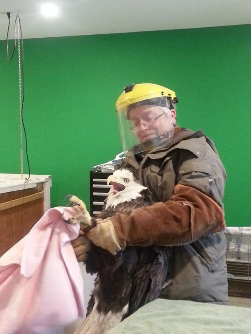 Orlan esperó fielmente a su novia en las ventanas del hospital durante toda una semana Orlan esperó fielmente a su novia en las ventanas del hospital durante toda una semana