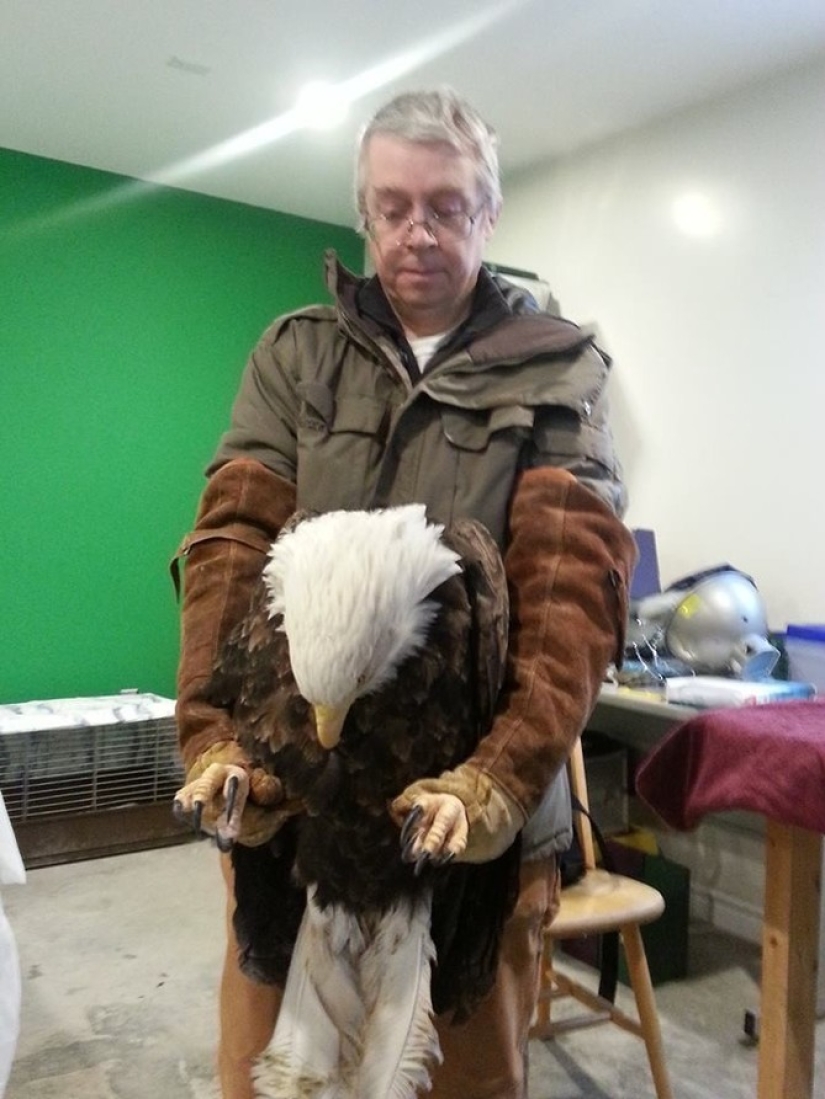 Orlan faithfully waited for his bride at the windows of the hospital for a whole week