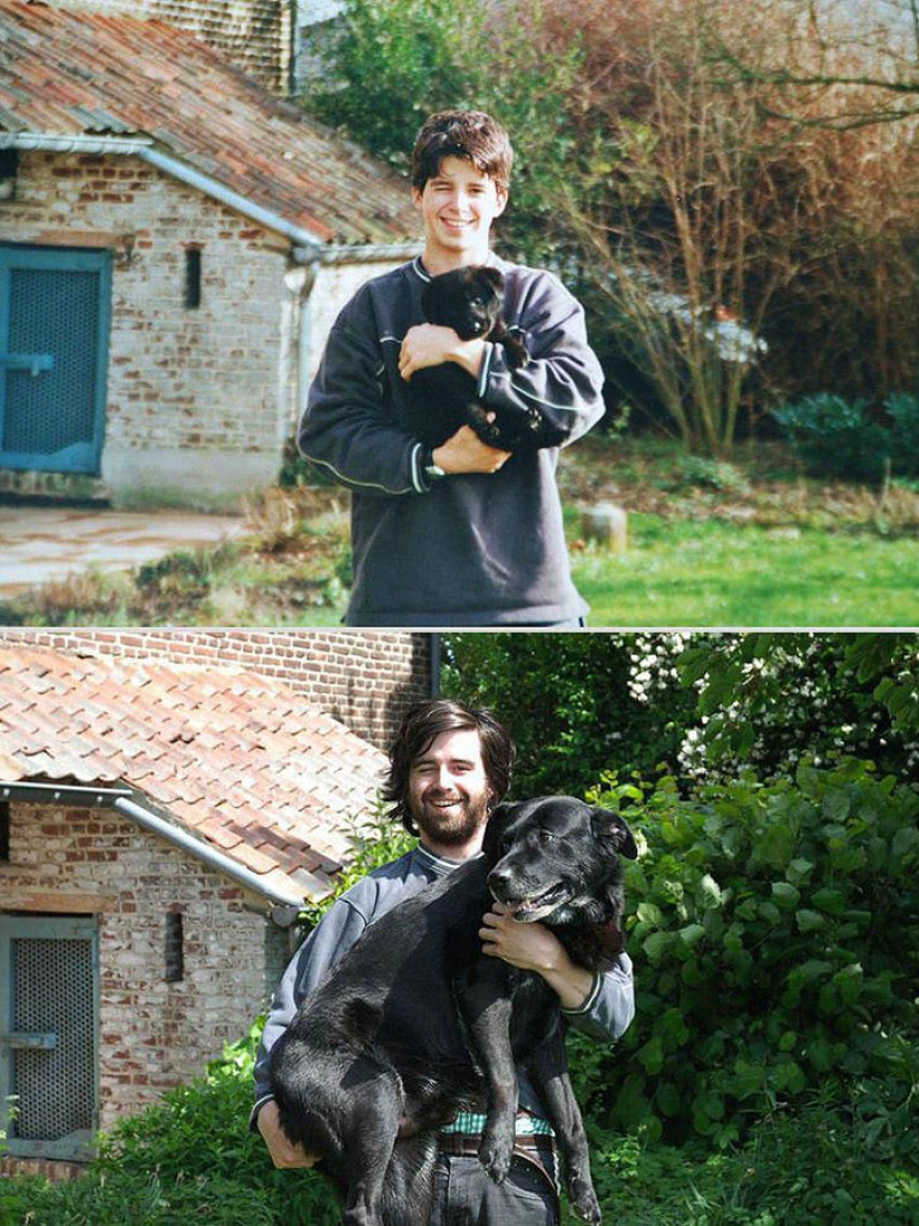 Our favorite animals: photos before and after growing up
