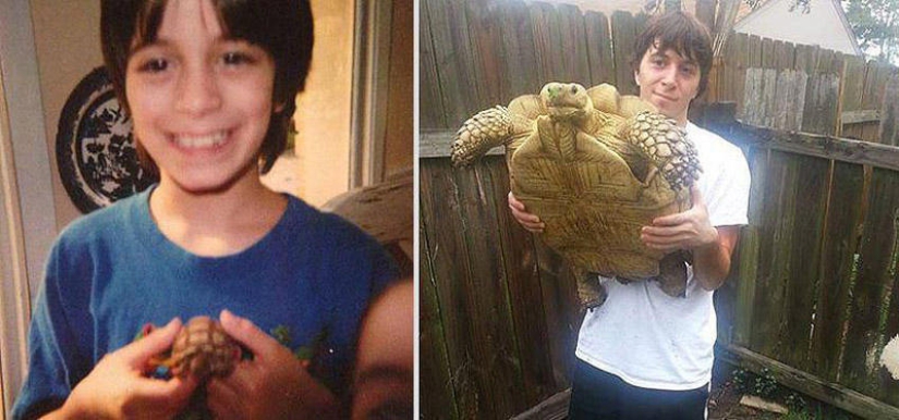 Our favorite animals: photos before and after growing up