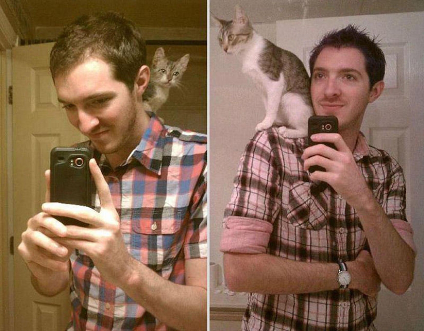 Our favorite animals: photos before and after growing up