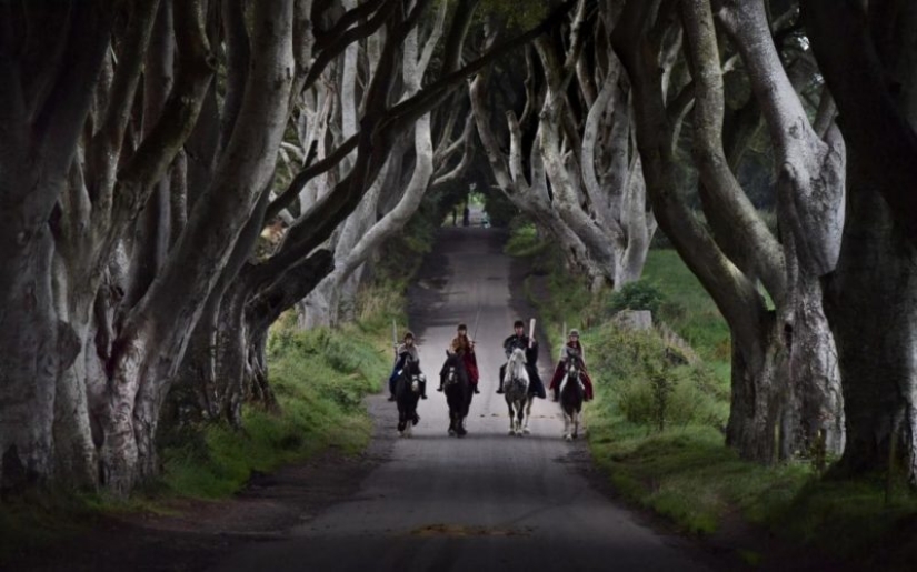 "Pack your bags, Westeros is waiting!": HBO will give tourists access to the set of Game of Thrones