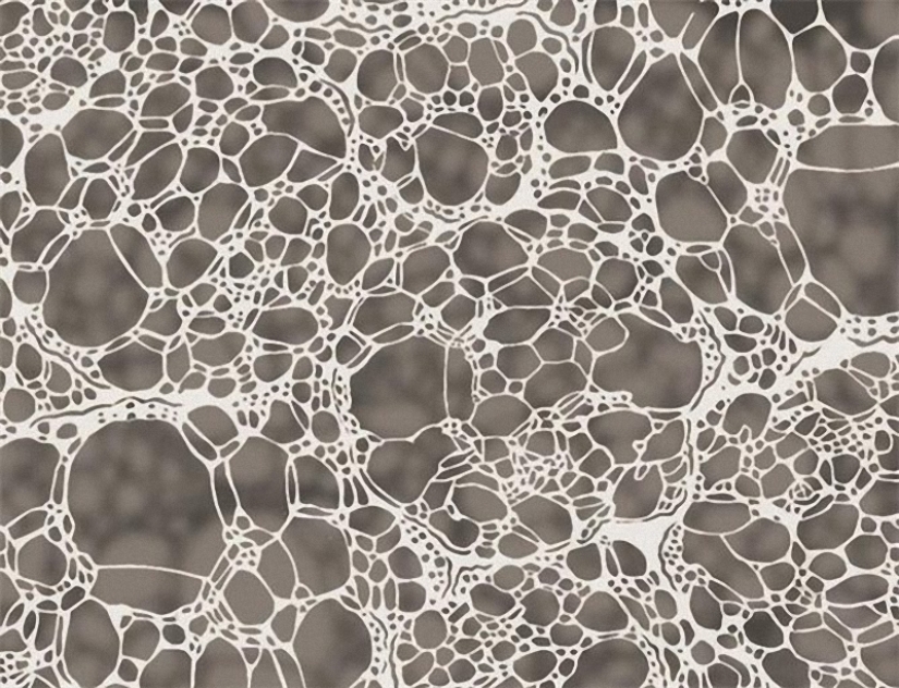 Paintings from a sheet of paper Paintings from a sheet of paper