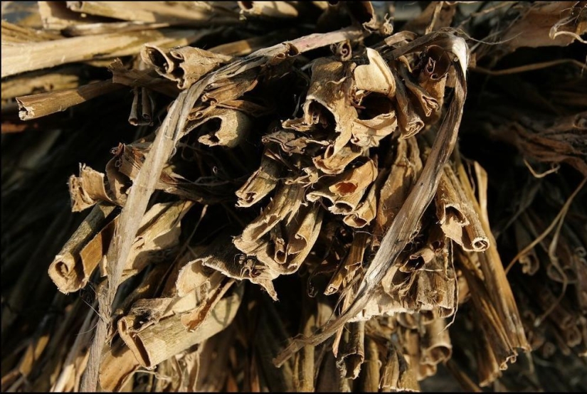 Papel hengzhi coreano