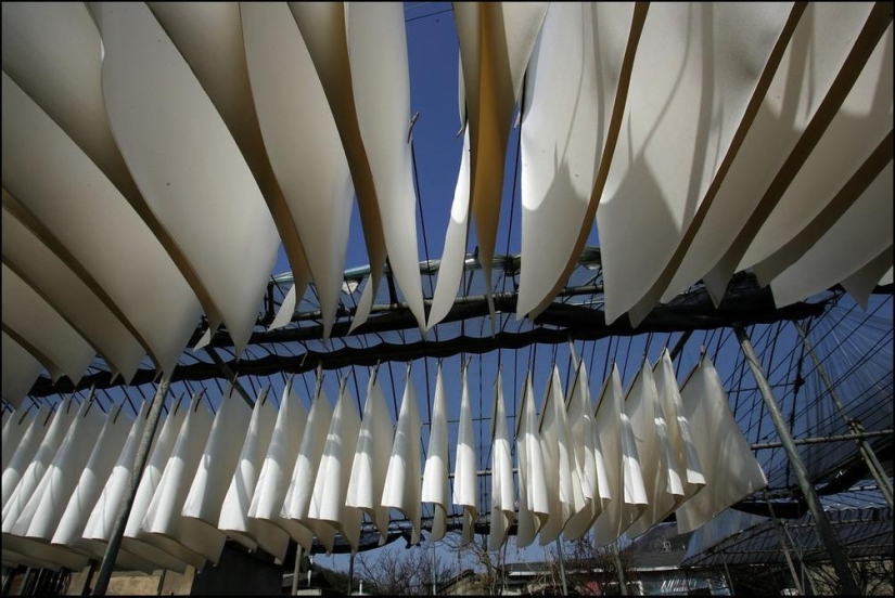 Papel hengzhi coreano