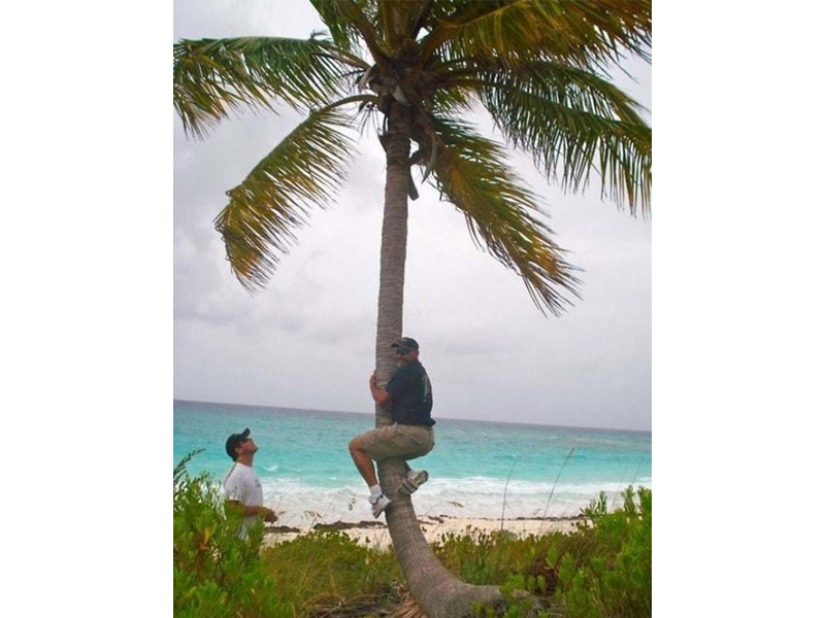 Papás ​​de vacaciones: 20 fotos divertidas