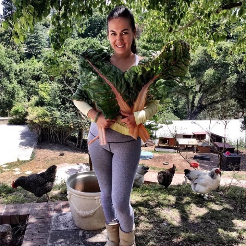Para cultivar cáñamo, la lucha contra los osos de novia se negó desde la comodidad de vivir "fuera de rango"