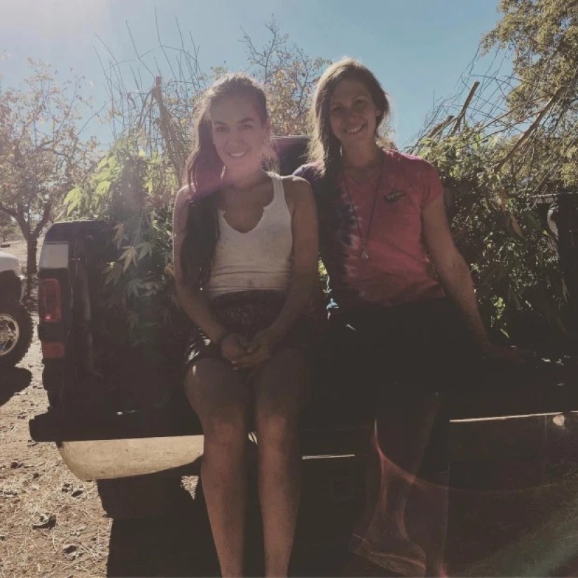 Para cultivar cáñamo, la lucha contra los osos de novia se negó desde la comodidad de vivir "fuera de rango"