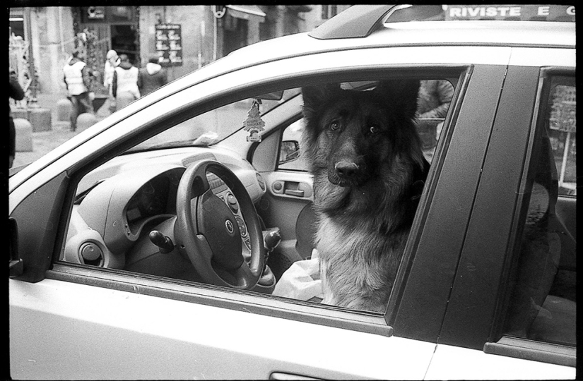 Paradise inhabited by devils: all the vices of St. Naples in the lens of Robbie Mackintosh Paradise inhabited by devils: all the vices of St. Naples in the lens of Robbie Mackintosh