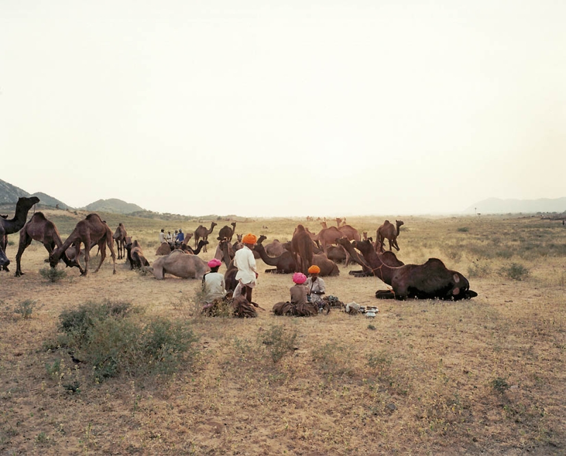 Patrick Carew's photo project "Gypsies"