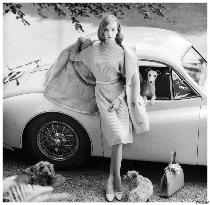 Pearl from the dynasty of Scandinavian beauties: Nena von Schlebrugge, mother of Uma Thurman