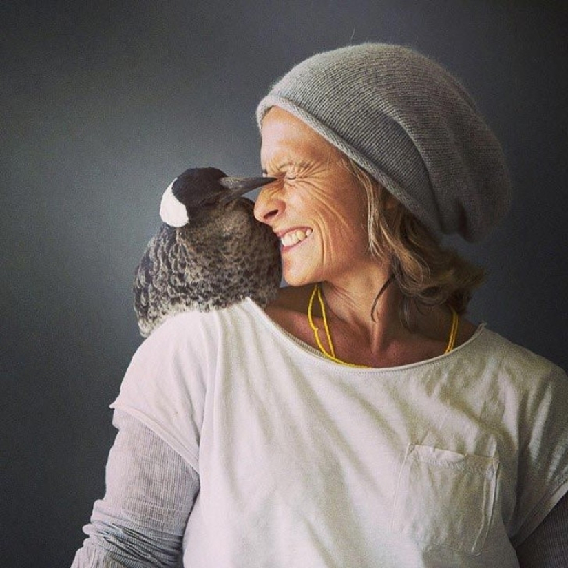 Penguin es una urraca doméstica inteligente a la que le gusta acostarse en la cama y ayuda a los niños a cepillarse los dientes Penguin es una urraca doméstica inteligente a la que le gusta acostarse en la cama y ayuda a los niños a cepillarse los dientes