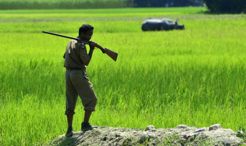 People are being killed in an Indian park to save rhinos People are being killed in an Indian park to save rhinos