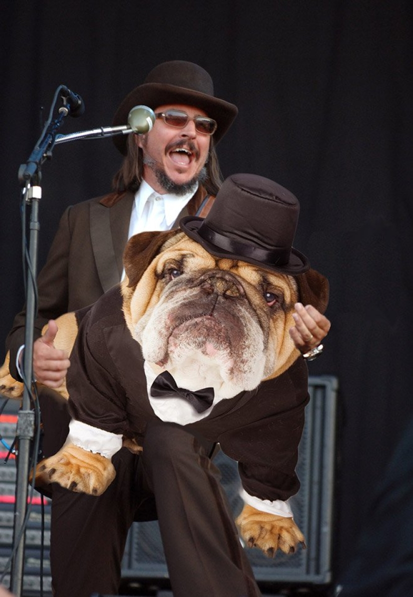 Perros en lugar de guitarras