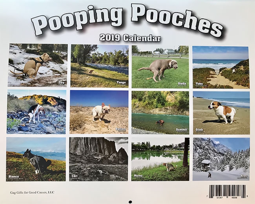 Perros que hacen caca-2019: qué regalar a un amigo para el Año Nuevo