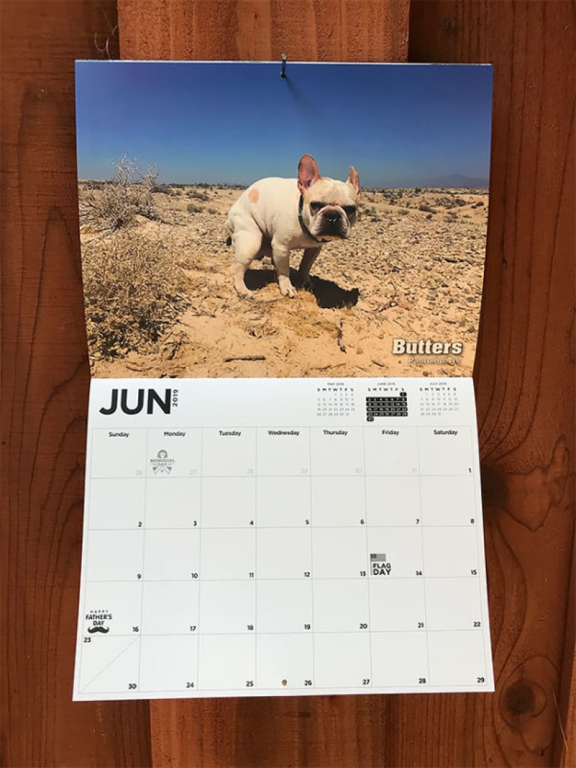 Perros que hacen caca-2019: qué regalar a un amigo para el Año Nuevo