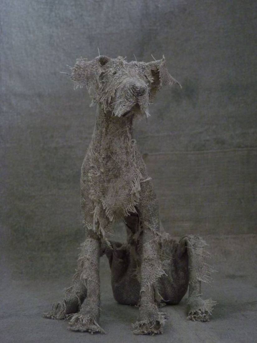 Perros tristes de... trapos viejos