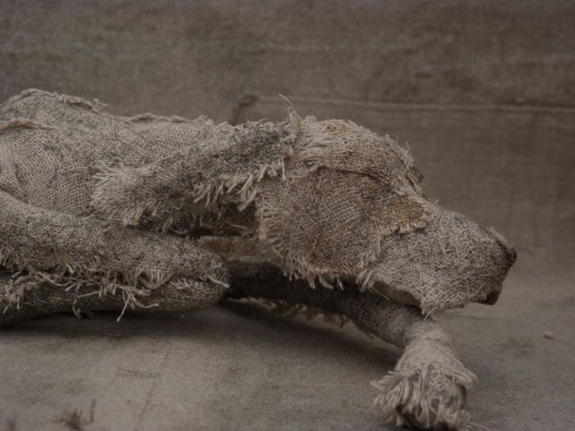 Perros tristes de... trapos viejos