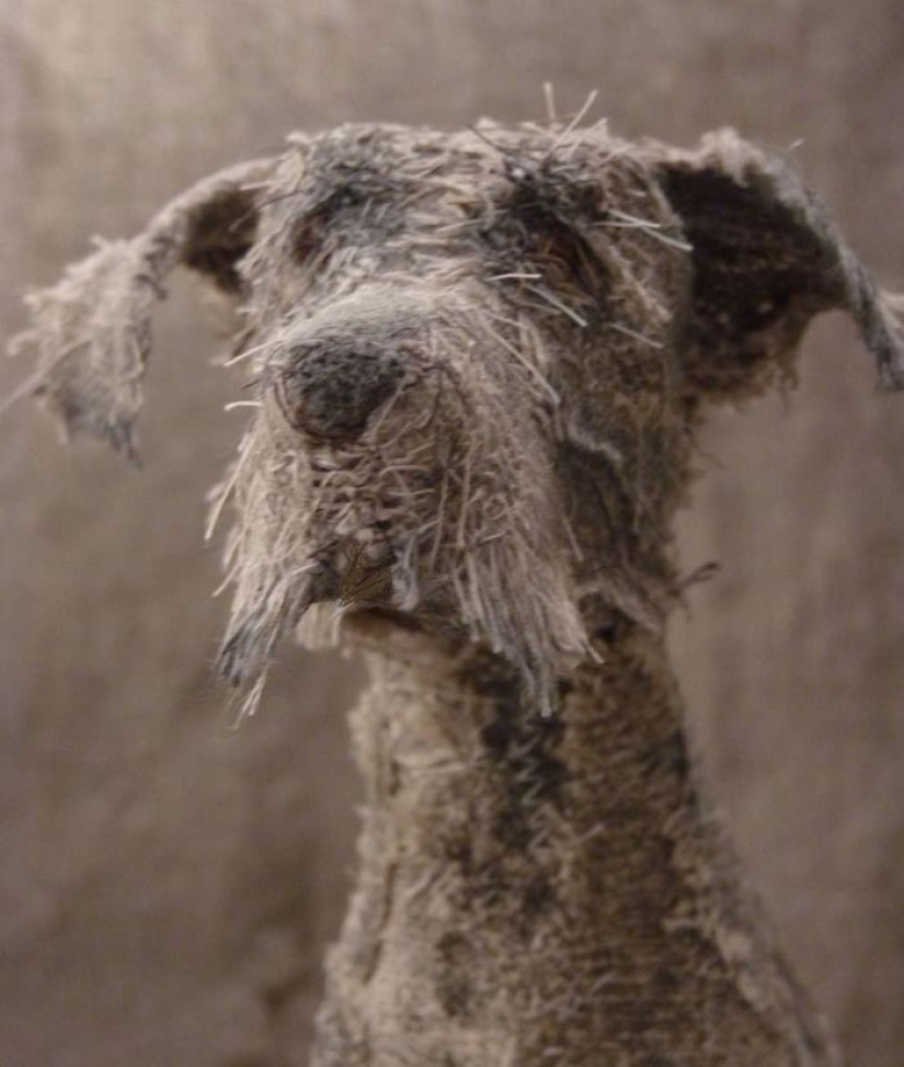Perros tristes de... trapos viejos