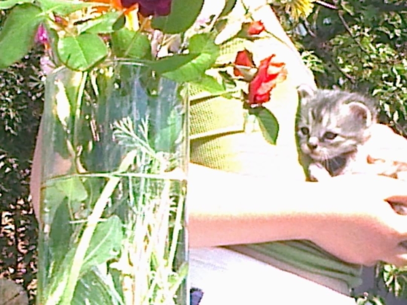 Photo downshifting: a Muscovite has been shooting with a push-button Siemens for three years, and people like it