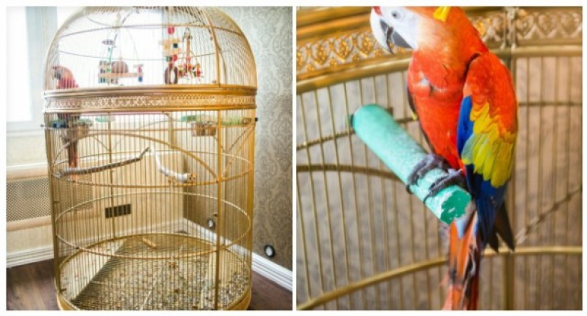 Photo of the Yekaterinburg company's office, which looks more like a palace Photo of the Yekaterinburg company's office, which looks more like a palace