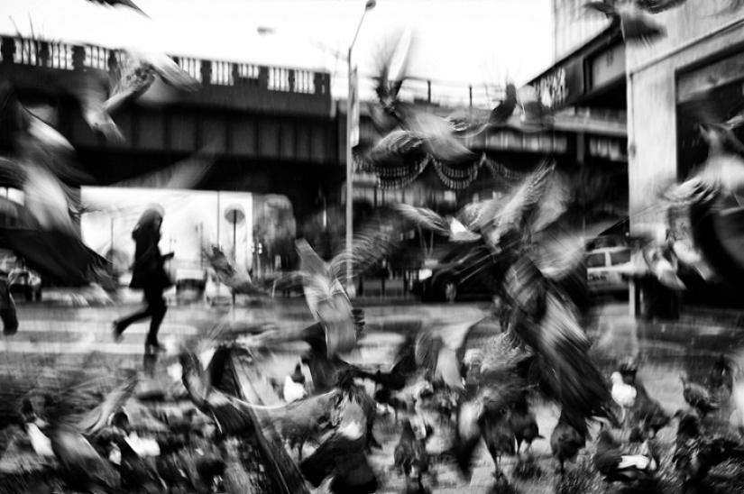 Photographer documents the beauty of New York Photographer documents the beauty of New York