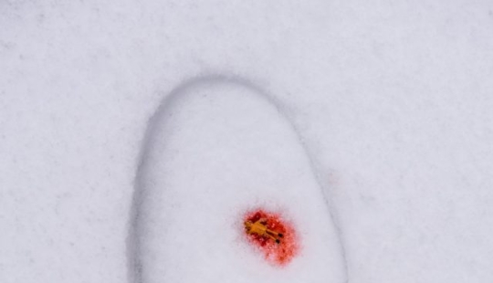 Photographer uses everyday objects to create tiny worlds Photographer uses everyday objects to create tiny worlds