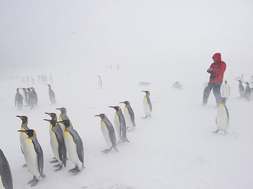 Photographing the weather