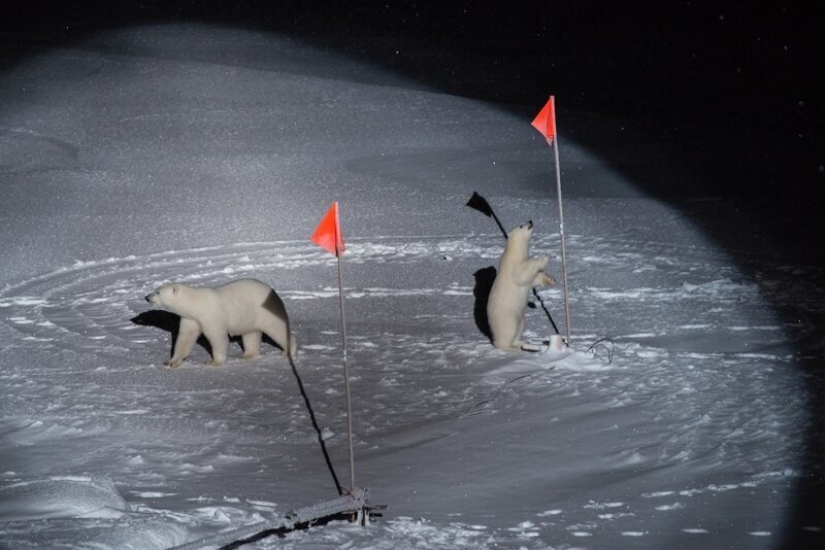 Photos instead of a thousand words: the best pictures of World Press Photo 2020, which the world press is proud of