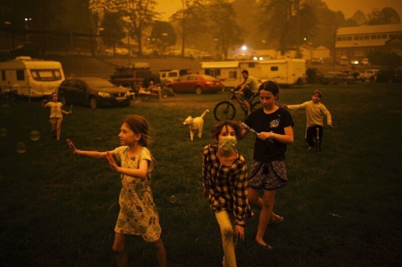 Photos instead of a thousand words: the best pictures of World Press Photo 2020, which the world press is proud of