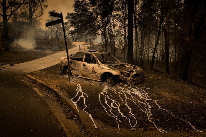 Photos instead of a thousand words: the best pictures of World Press Photo 2020, which the world press is proud of