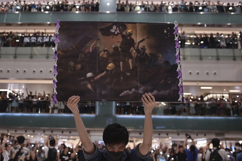 Photos instead of a thousand words: the best pictures of World Press Photo 2020, which the world press is proud of