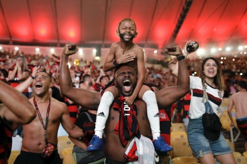Photos instead of a thousand words: the best pictures of World Press Photo 2020, which the world press is proud of