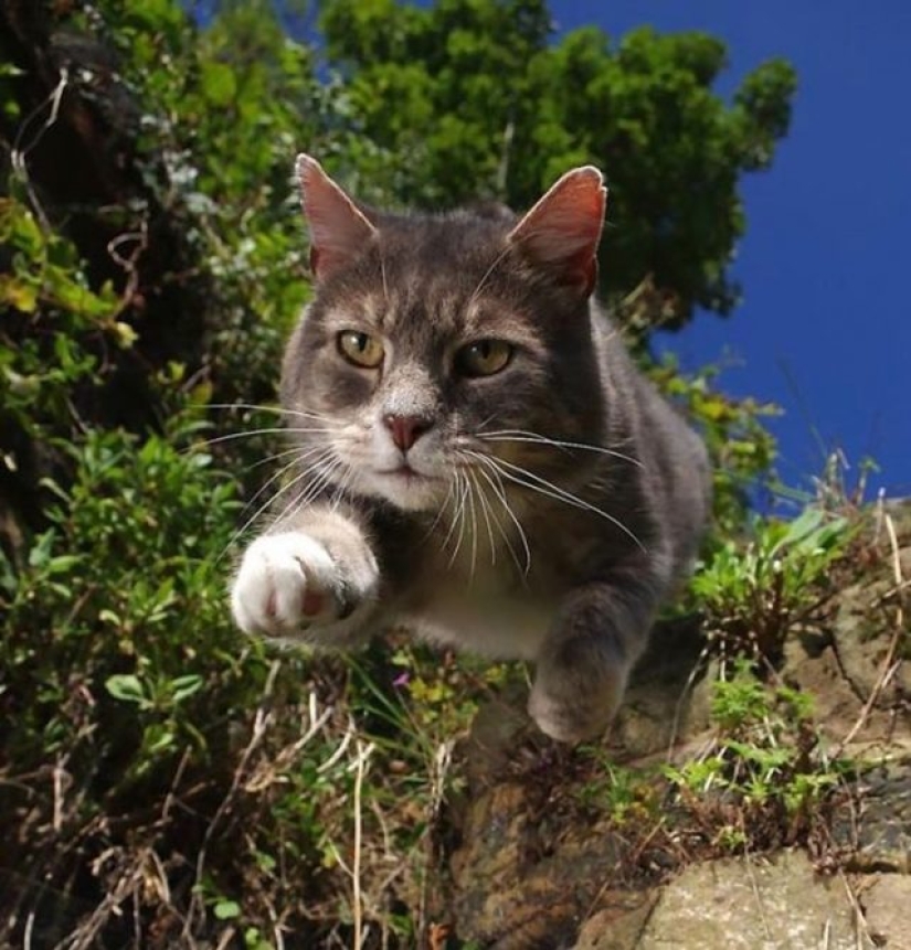 12 photos taken at the most opportune moment 12 photos taken at the most opportune moment