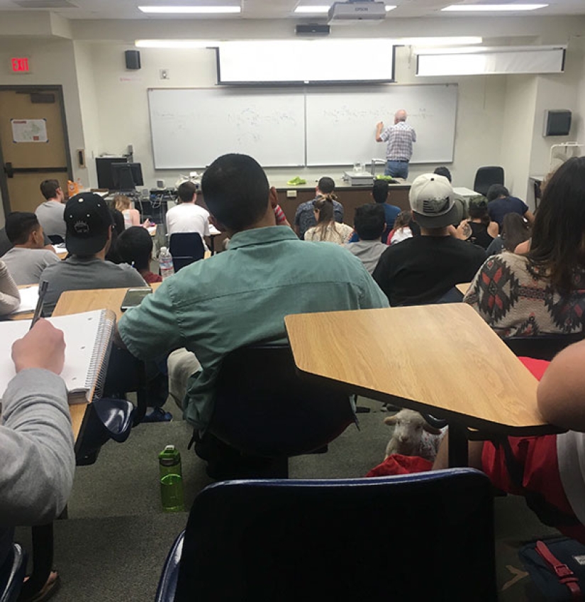 Photos that will bring you to tears if you look closely Photos that will bring you to tears if you look closely