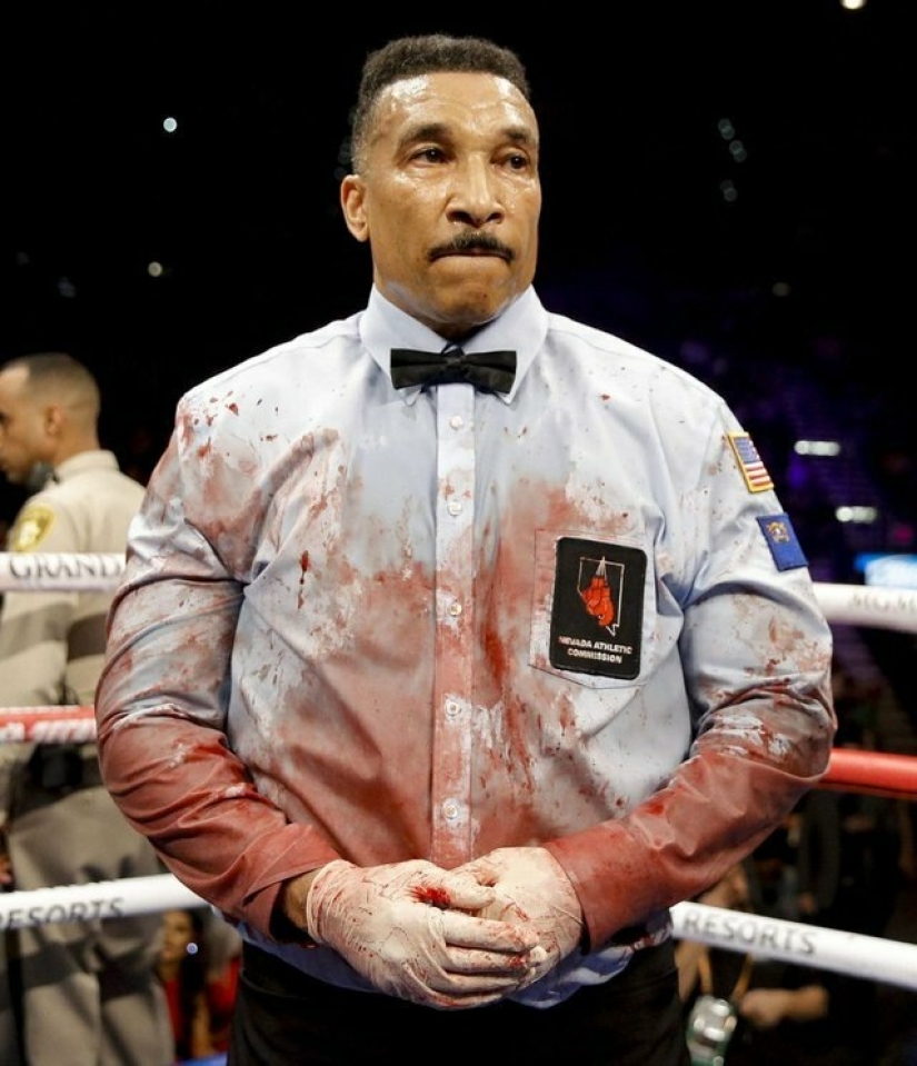 Photoshop battle: the judge after the "bloody" boxing match