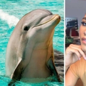 Piel de delfín: una nueva tendencia de belleza de las celebrities