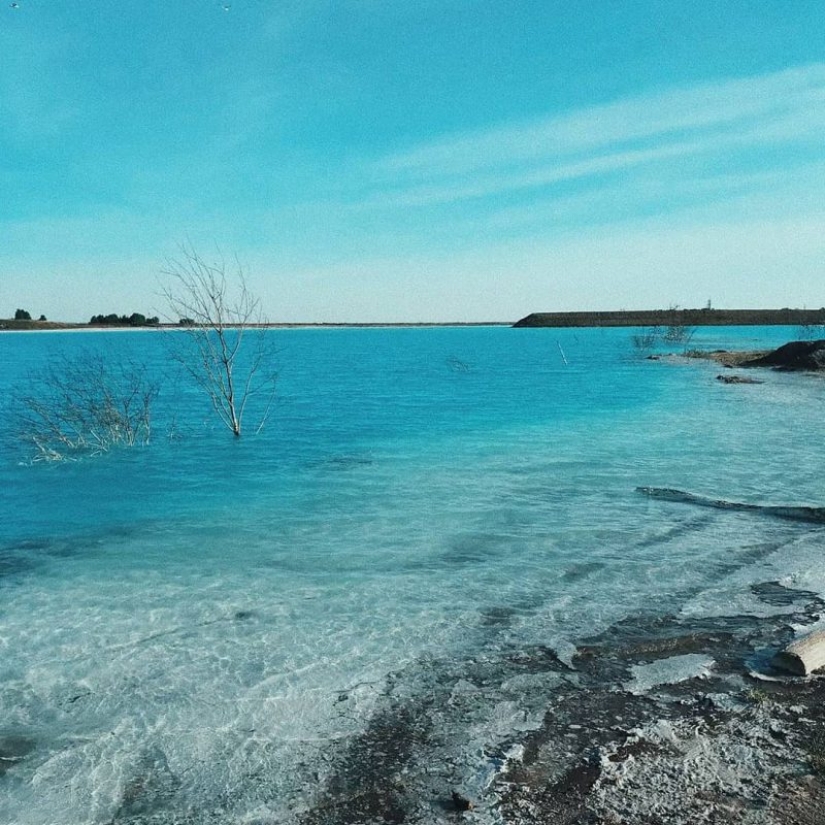 Poisoned "Novosibirsk Maldives": bloggers attacked a unique industrial septic tank