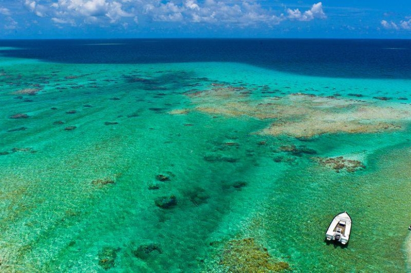 Polynesian paradise from the height of a kite